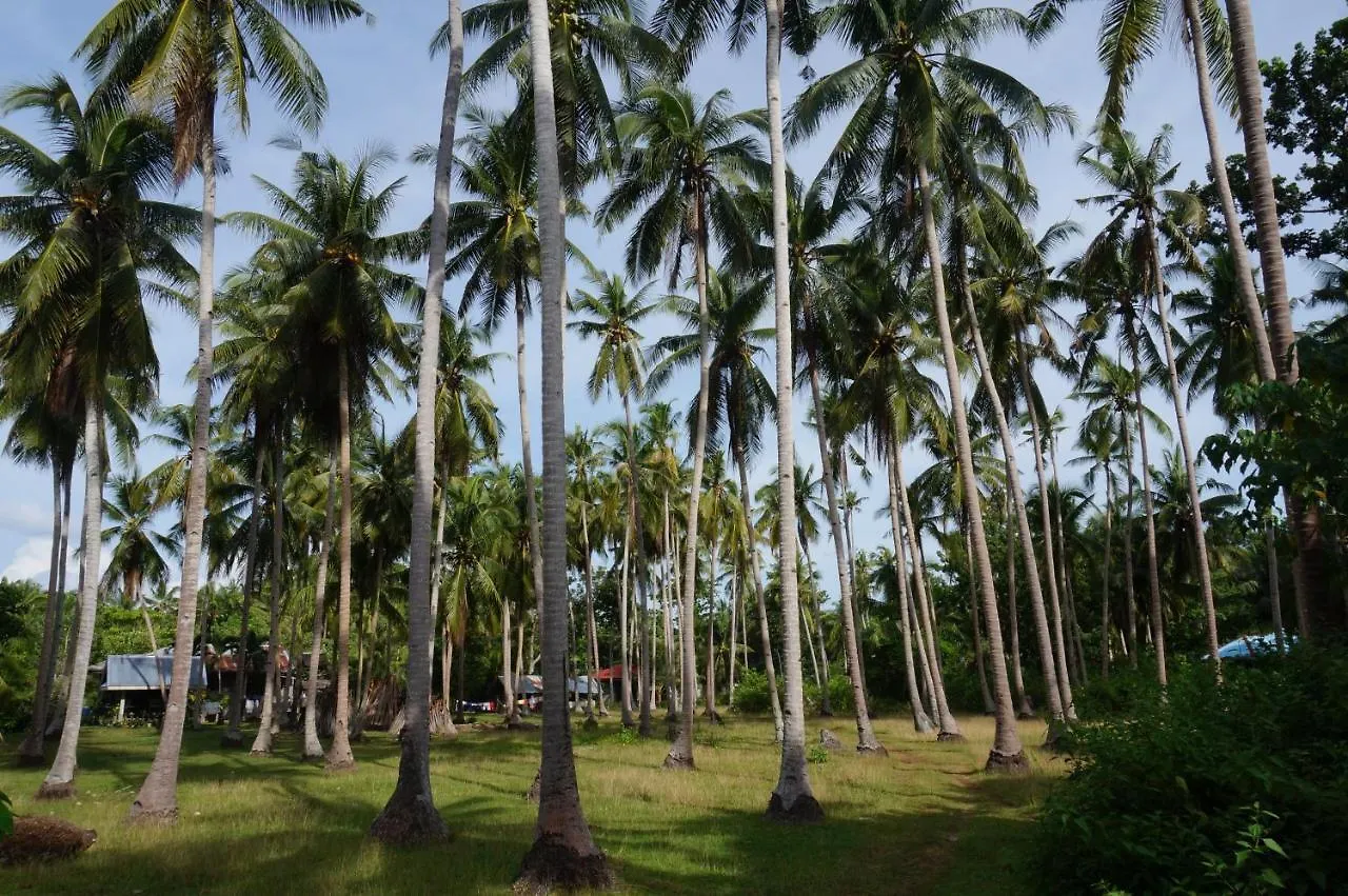 Peaceland Hostel Panglao Filipinas