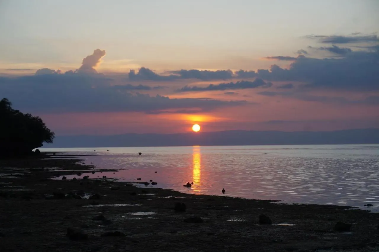Peaceland Hostel Panglao 0*,